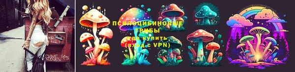 бошки Алексин