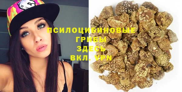 твердый Магас