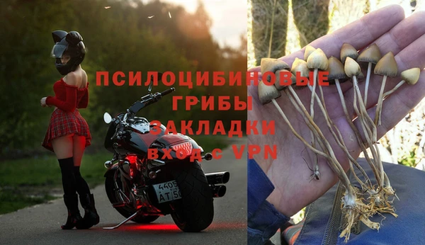 бутират Алзамай